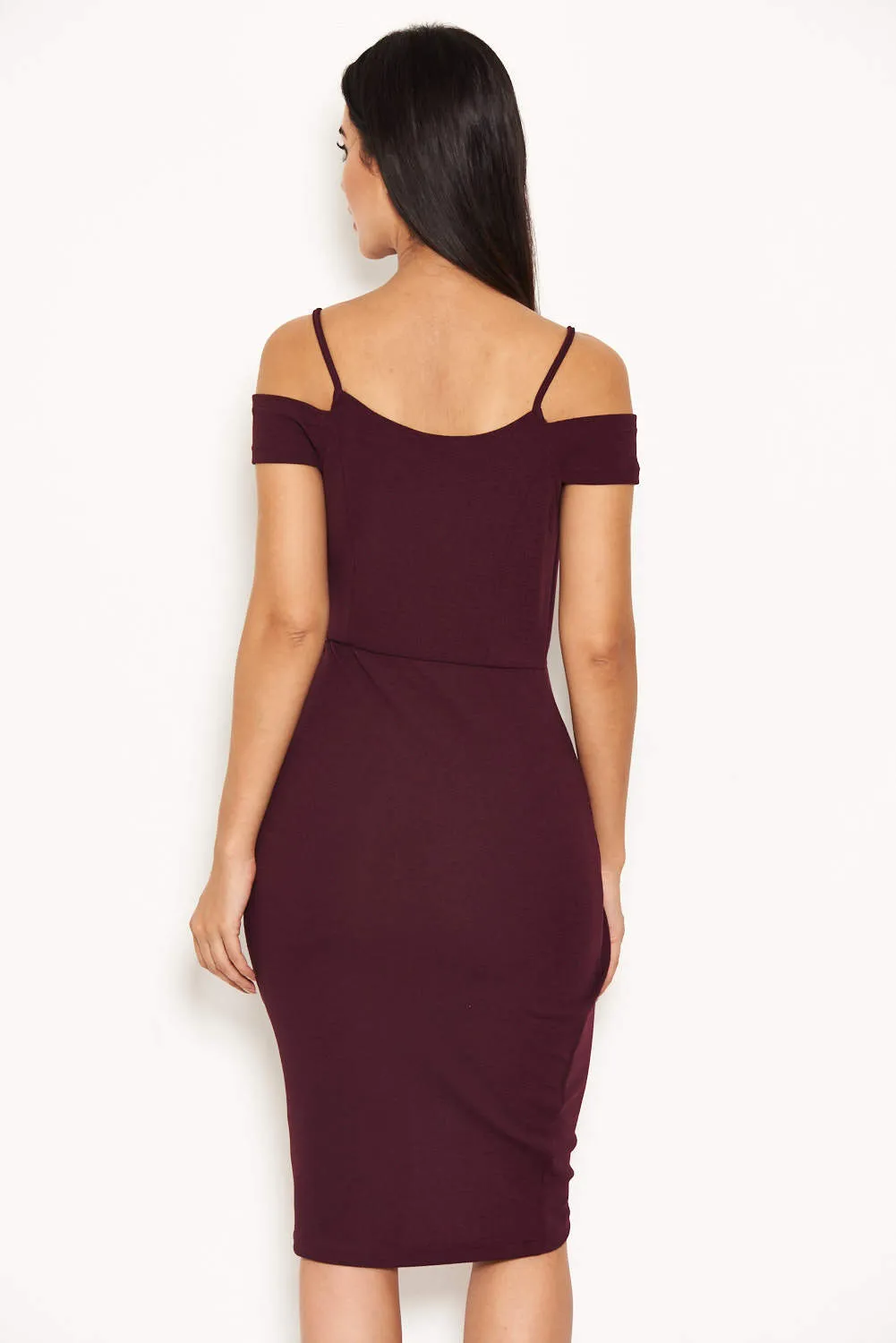 Plum Wrap Around Dress